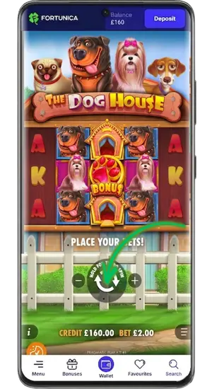 The Dog House Game Interface with Bet Field