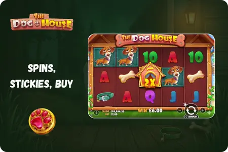 Bonus Dog House features overview for UK punters